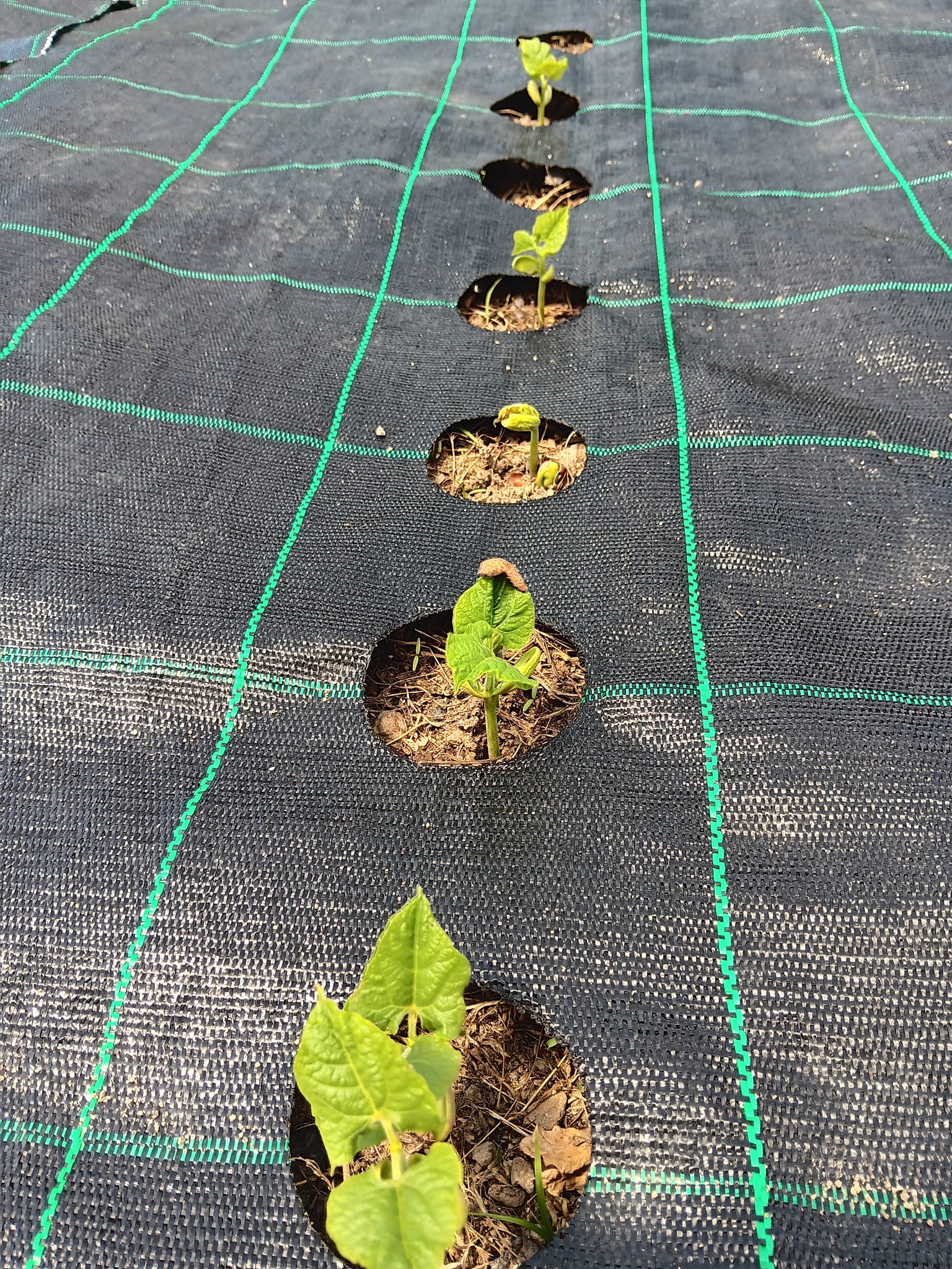 Feature School Portugal